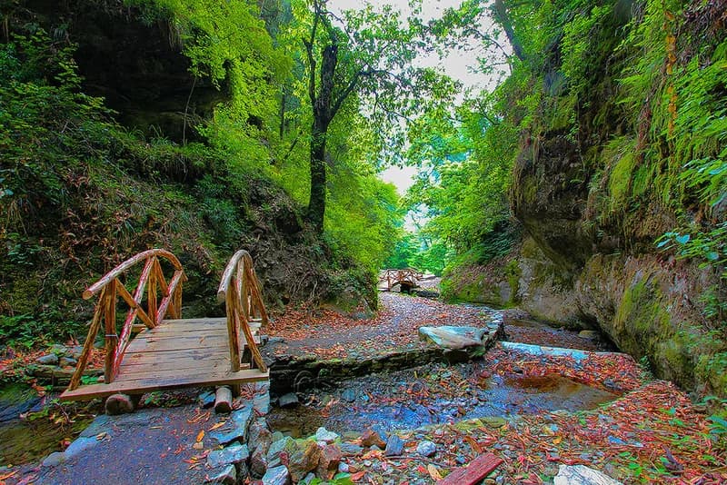 Jibhi Tirthan Valley Tour Packages from Delhi