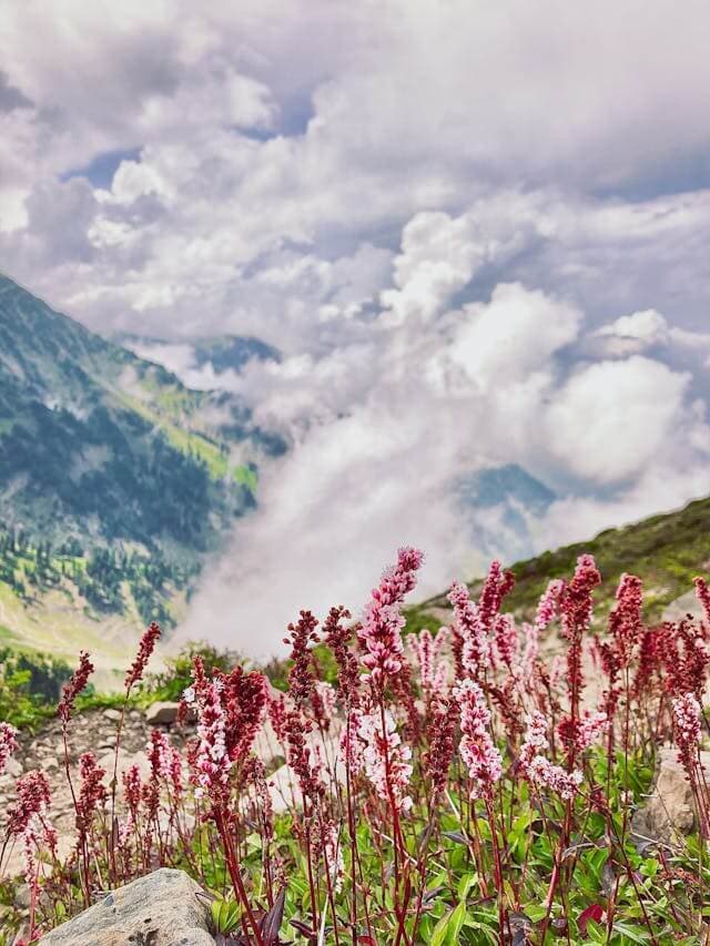 Valley of Flowers Trek – A Himalayan Paradise in Full Bloom